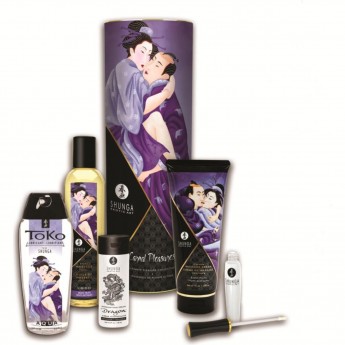 Подарочный набор SHUNGA CARNAL PLEASURES (ПЛОТСКИЕ УТЕХИ) 9007 SG Подарочный набор SHUNGA CARNAL PLEASURES (ПЛОТСКИЕ УТЕХИ) 9007 SG